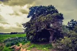 Imagem jigsaw puzzle