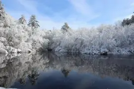 Imagem jigsaw puzzle