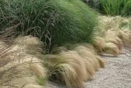 פאזל של GraminÃ¨es