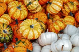 Imagem jigsaw puzzle