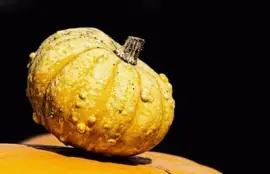 Imagem jigsaw puzzle