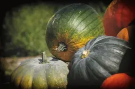 Imagem jigsaw puzzle