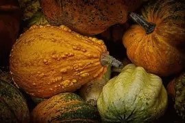 Imagem jigsaw puzzle