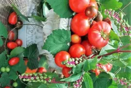 frutos jigsaw puzzle