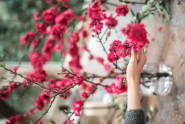 flores jigsaw puzzle