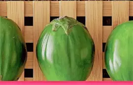 natural jigsaw puzzle