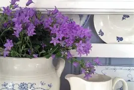 flores jigsaw puzzle