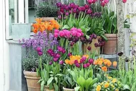 flores jigsaw puzzle