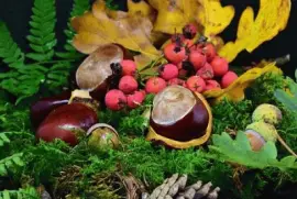 Imagem jigsaw puzzle