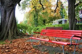 Imagem jigsaw puzzle