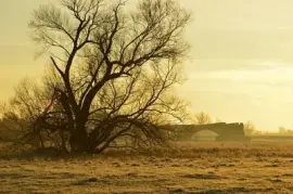 Imagem jigsaw puzzle