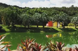 Imagem jigsaw puzzle