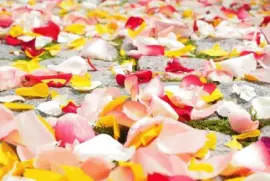 Imagem jigsaw puzzle