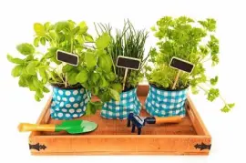 flores jigsaw puzzle