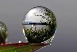 interessante jigsaw puzzle