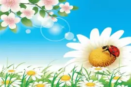 å¤§è‡ªç„¶