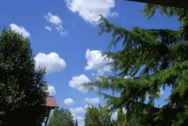 פאזל של botontano1