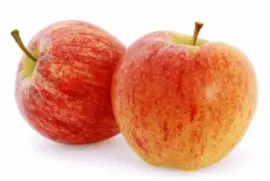 Royal gala jigsaw puzzle