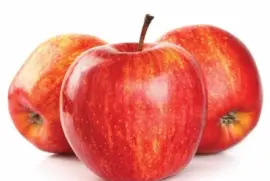 Royal gala jigsaw puzzle