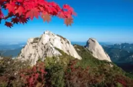 Imagem jigsaw puzzle