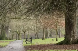 Imagem jigsaw puzzle