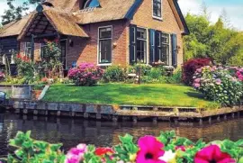 flores jigsaw puzzle