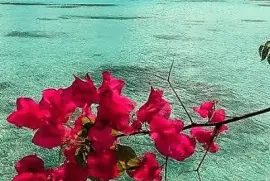 flores jigsaw puzzle