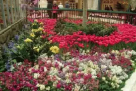 Imagem jigsaw puzzle