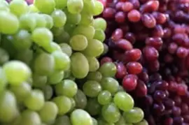 Imagem jigsaw puzzle