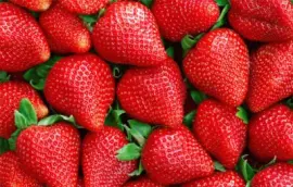 Imagem jigsaw puzzle