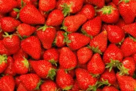 Imagem jigsaw puzzle