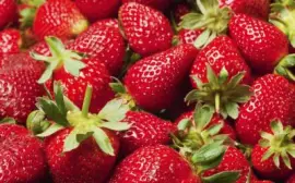 Imagem jigsaw puzzle