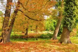 Imagem jigsaw puzzle