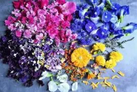 flores jigsaw puzzle