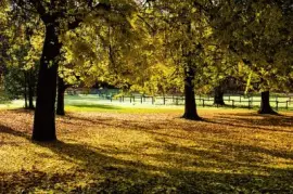 Imagem jigsaw puzzle