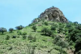 PeÃ±a en el campo chihuahuense. jigsaw puzzle