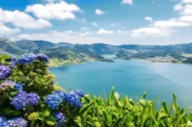 Imagem jigsaw puzzle