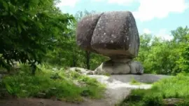 Imagem jigsaw puzzle