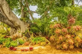 Imagem jigsaw puzzle