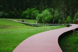 Imagem jigsaw puzzle