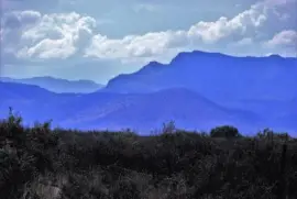 SerranÃ­a norteÃ±a, MÃ©xico.
