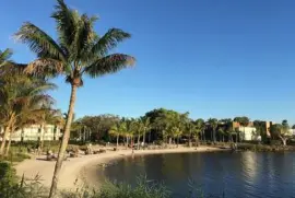 Imagem jigsaw puzzle