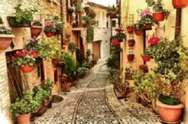 Imagem jigsaw puzzle