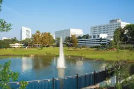 Tallahassee jigsaw puzzle