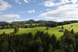 Imagem jigsaw puzzle