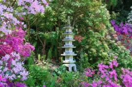 Imagem jigsaw puzzle