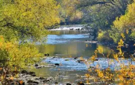 Nature jigsaw puzzle