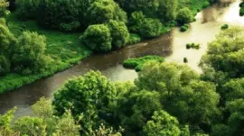 Nature jigsaw puzzle