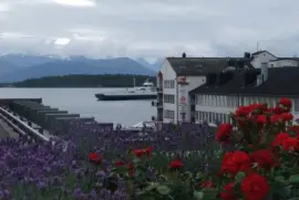 Molde