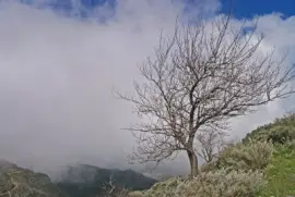 gran canaria / passat